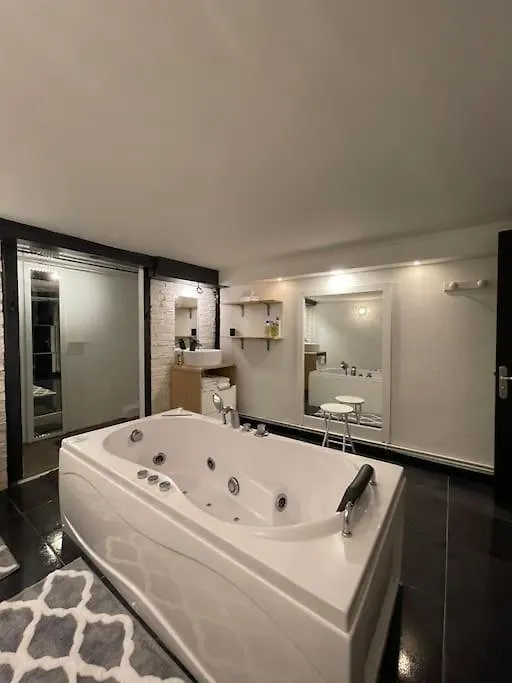 Loft Des Celestins Apartment Vichy 0*,