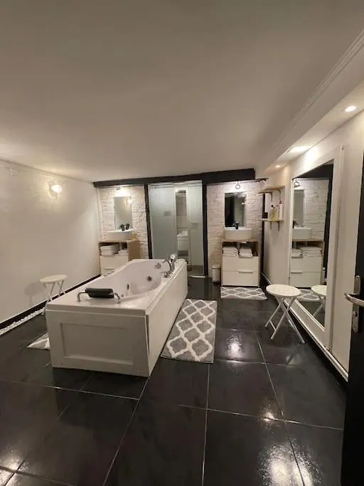 Loft Des Celestins Apartment Vichy