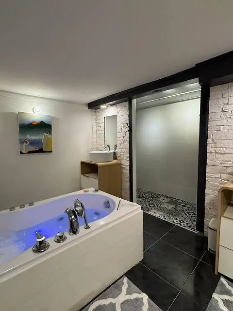 Loft Des Celestins Apartment Vichy